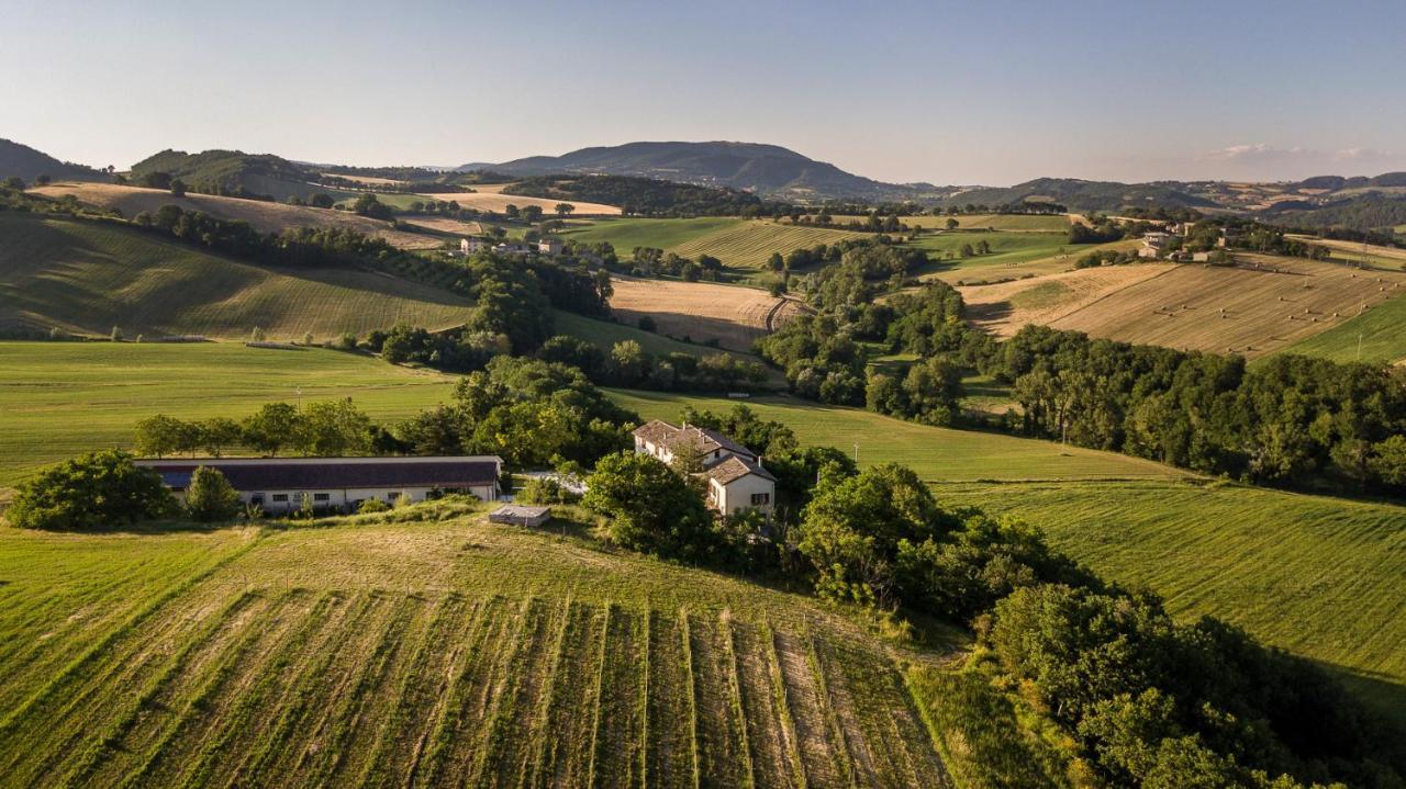 Agriturismo Podere Coldifico Sassoferrato Dış mekan fotoğraf