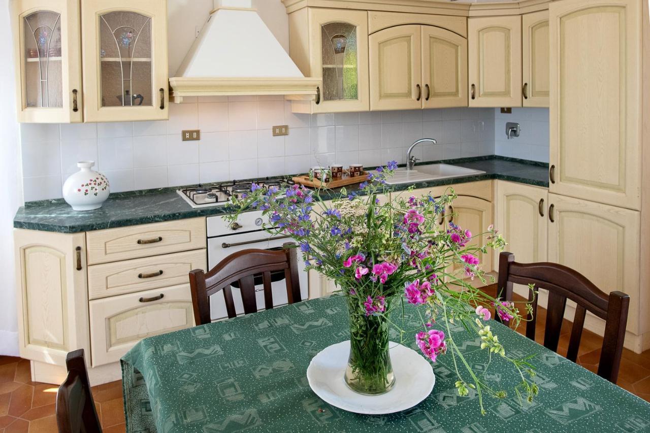 Agriturismo Podere Coldifico Sassoferrato Dış mekan fotoğraf
