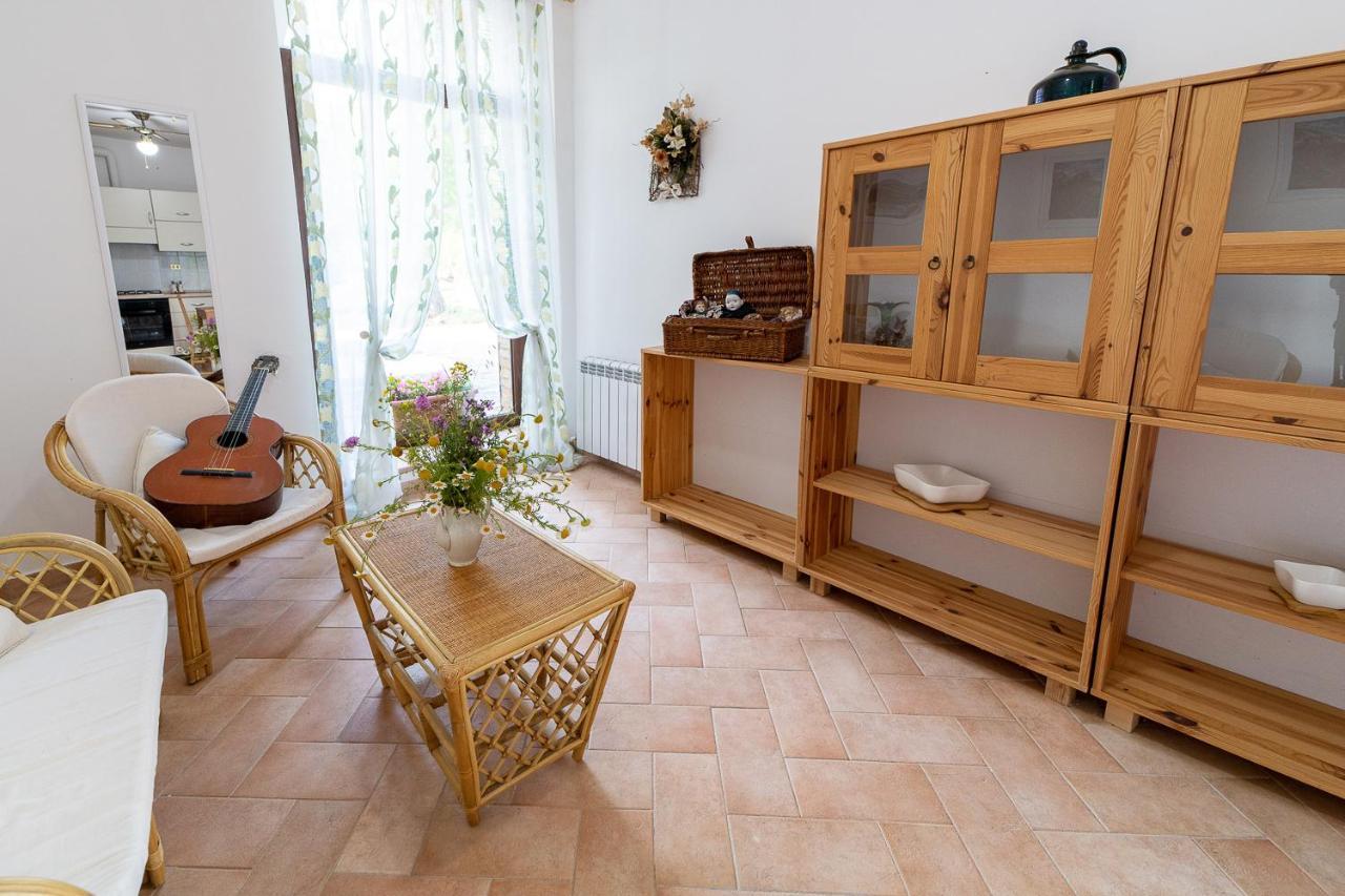 Agriturismo Podere Coldifico Sassoferrato Dış mekan fotoğraf