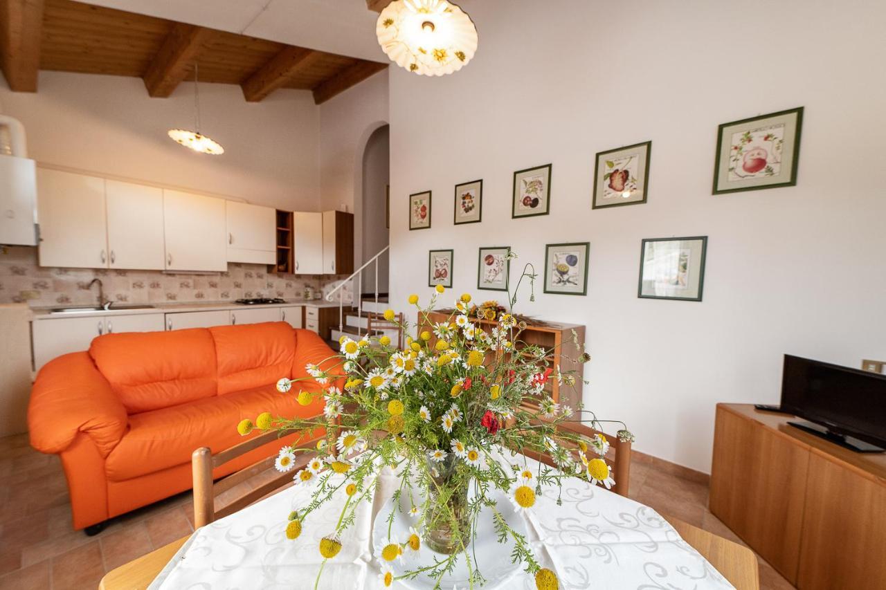 Agriturismo Podere Coldifico Sassoferrato Dış mekan fotoğraf