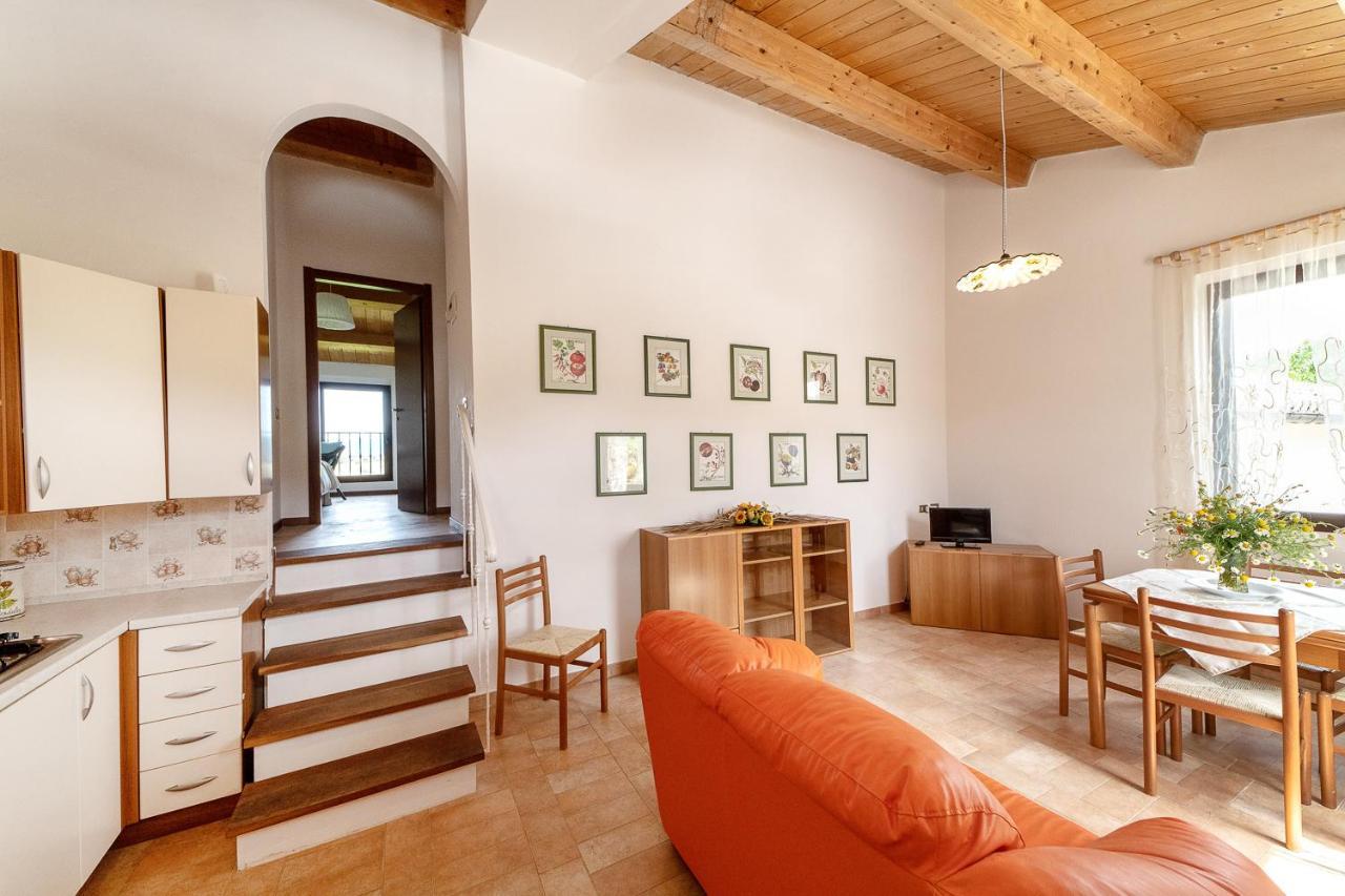 Agriturismo Podere Coldifico Sassoferrato Dış mekan fotoğraf