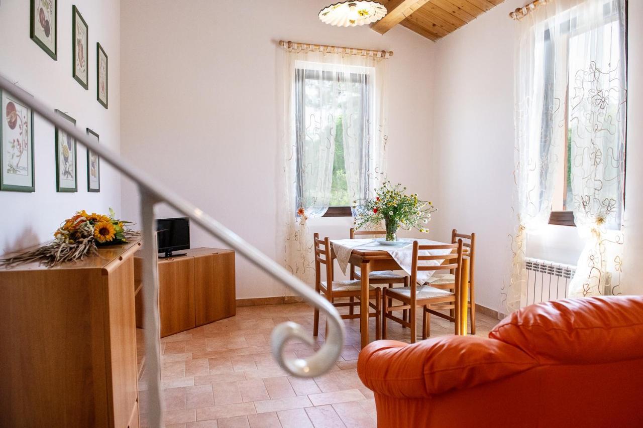 Agriturismo Podere Coldifico Sassoferrato Dış mekan fotoğraf