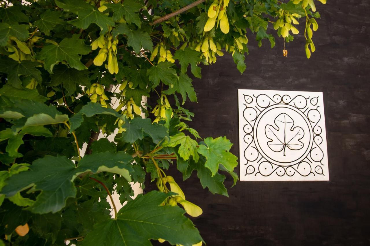 Agriturismo Podere Coldifico Sassoferrato Dış mekan fotoğraf