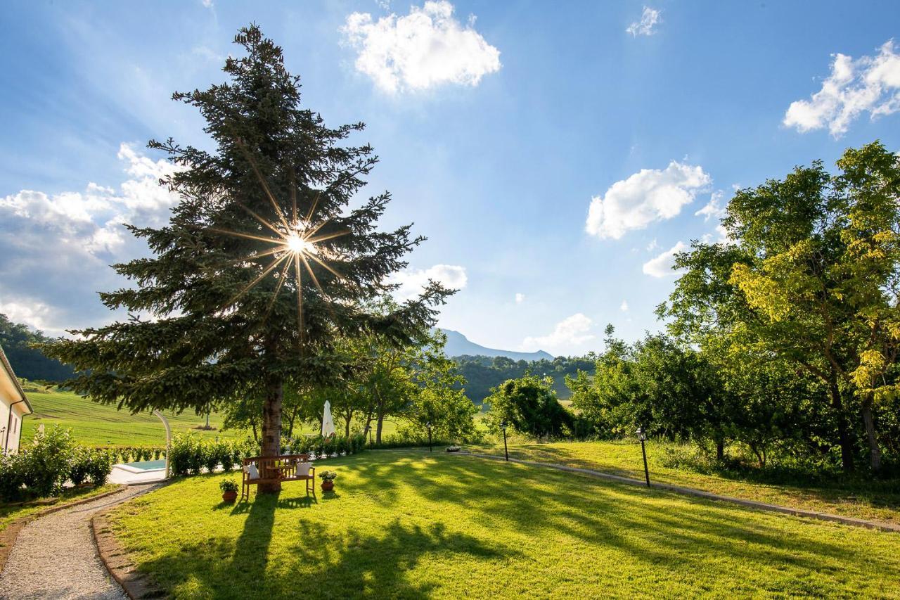 Agriturismo Podere Coldifico Sassoferrato Dış mekan fotoğraf