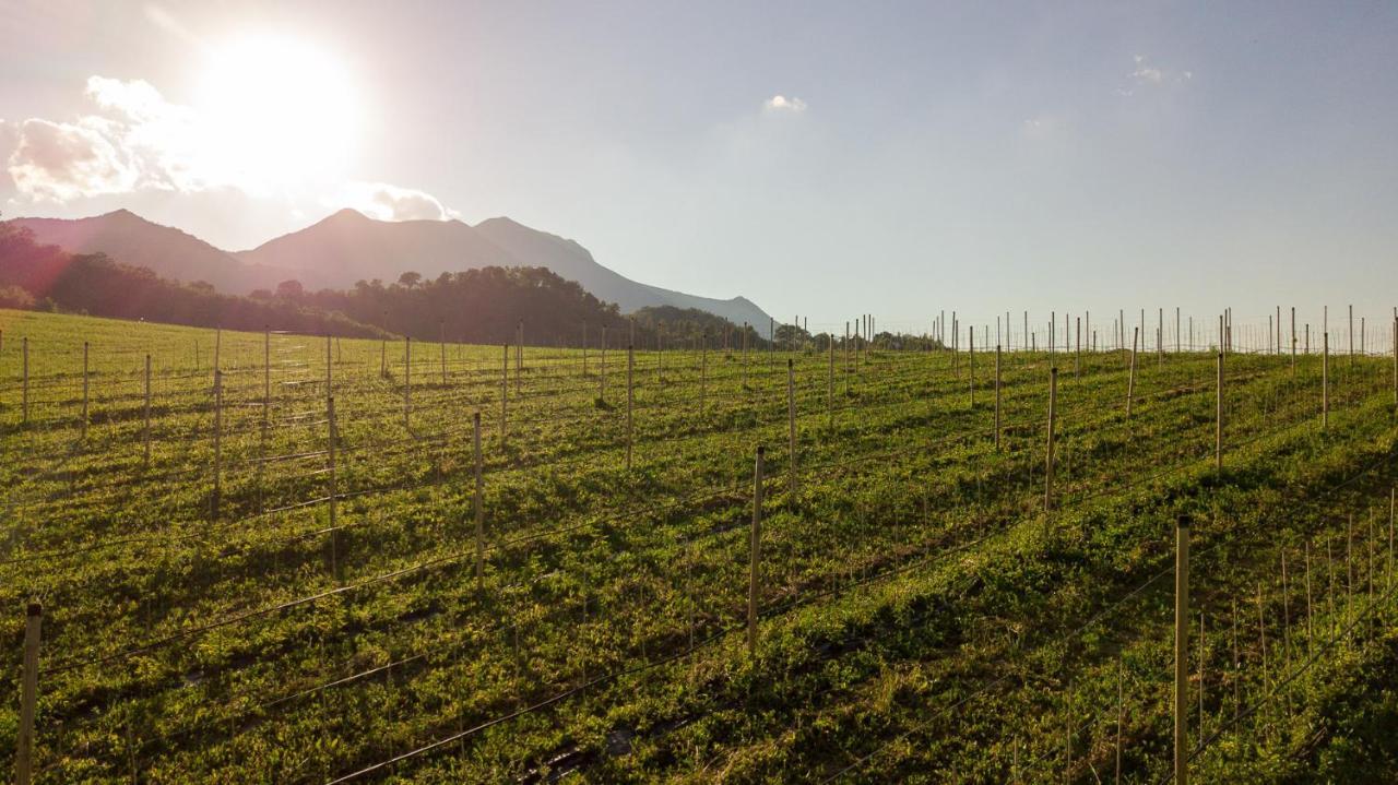 Agriturismo Podere Coldifico Sassoferrato Dış mekan fotoğraf